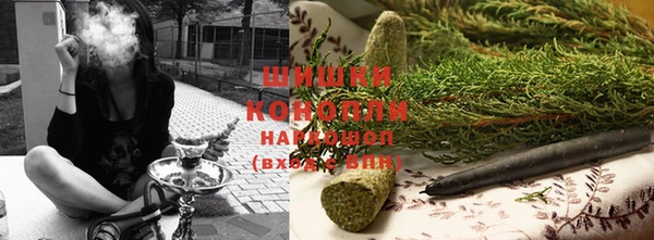 стафф Новодвинск